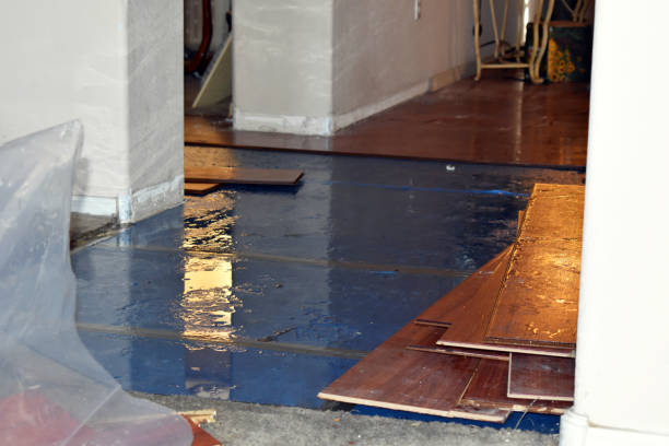 Professional Basement Water Removal technician working in Romeoville, IL